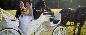 The Wedding Carriage